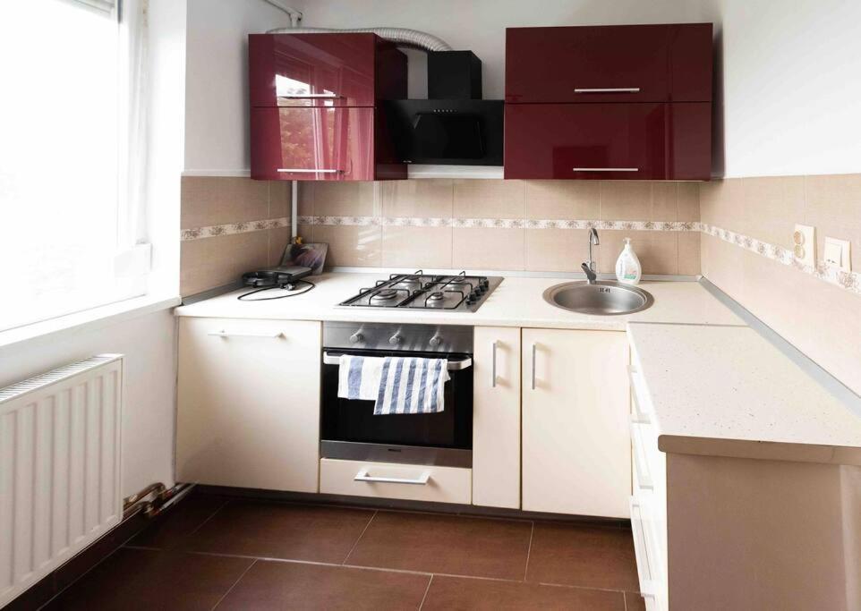 דירות Apartament טימישוארה מראה חיצוני תמונה